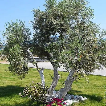 Littore Maris Διαμέρισμα