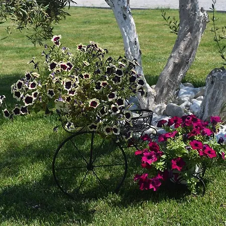 Littore Maris Lejlighed *