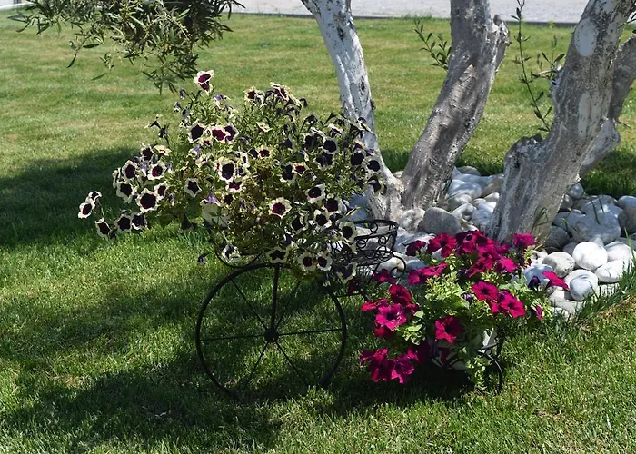 Littore Maris Apartamento *