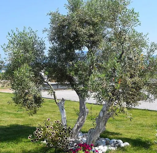 Littore Maris Apartamento